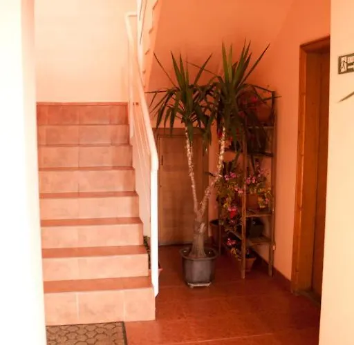 Guest house Vlad Timisoara