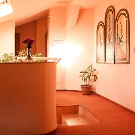 Vlad 3* تيميشورا